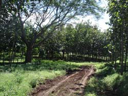 vue terrains tamarindo costa rica